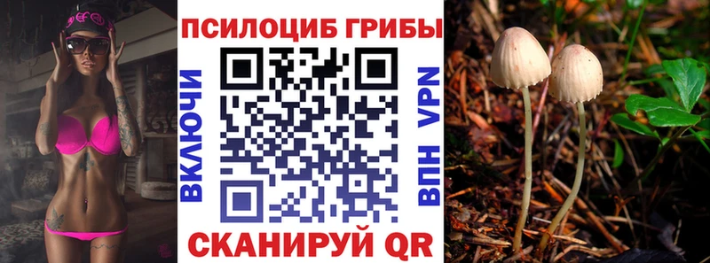 Псилоцибиновые грибы ЛСД Шлиссельбург